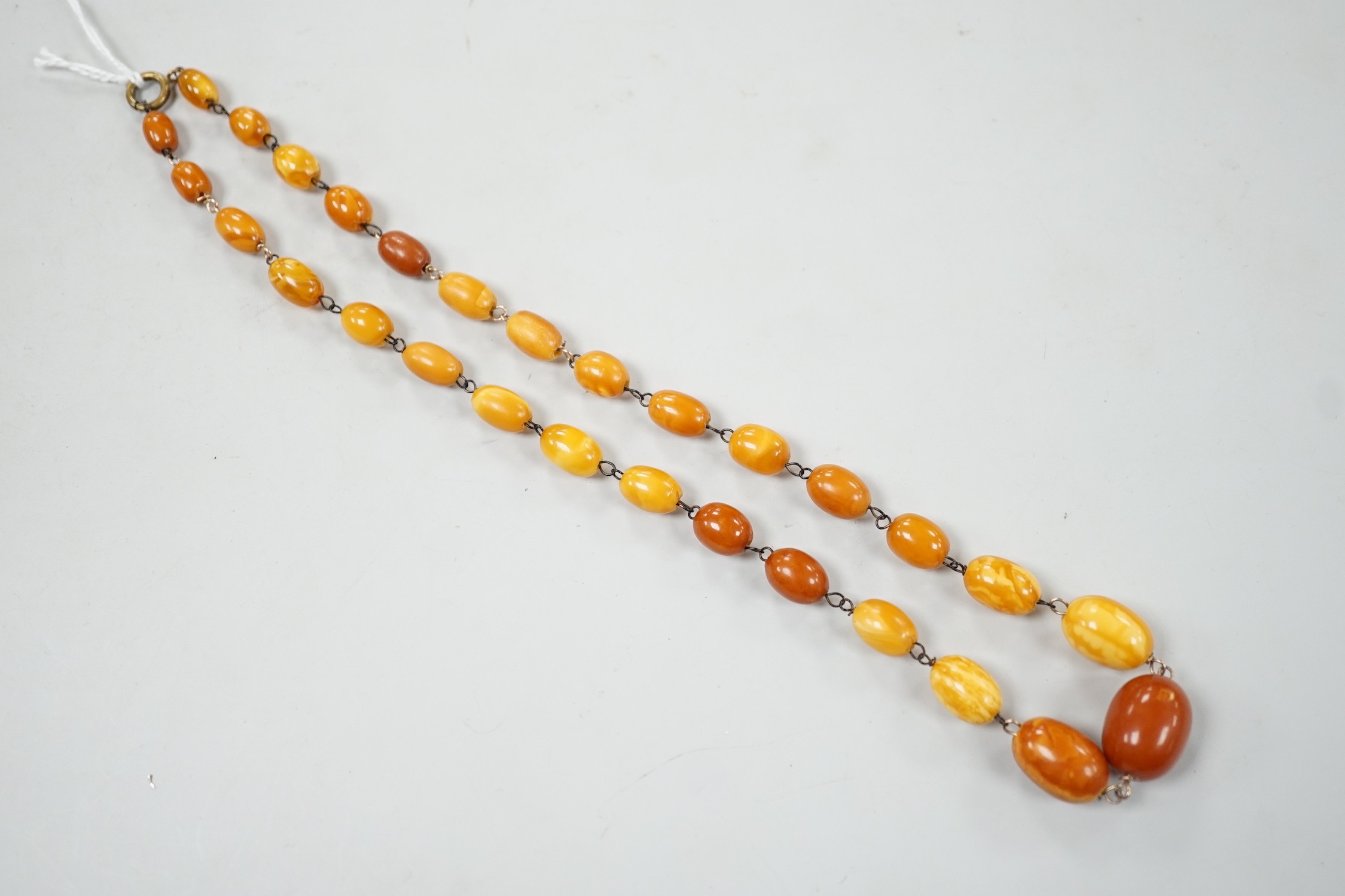 A single strand graduated oval amber bead necklace, 44cm, gross weight 16 grams.